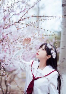 东北狙王决战虎牙山免费观看_蓝光超清在线观看