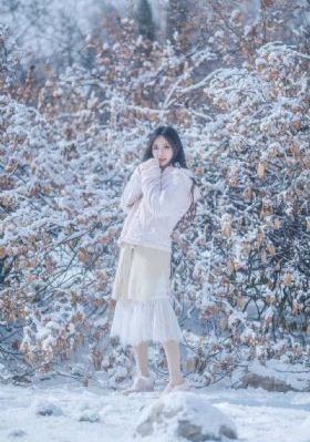 理智派生活电视剧免费观看完整版_国产剧手机在线看